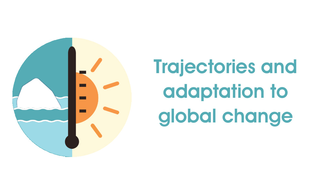 Trajectories and adaptation