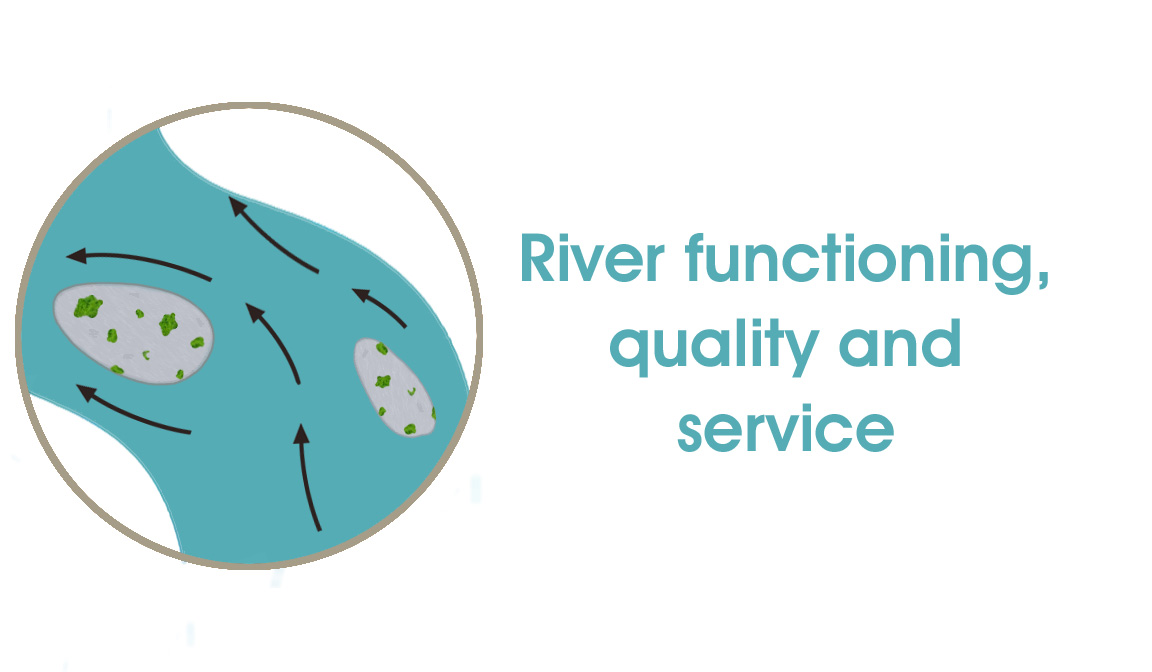 River functioning