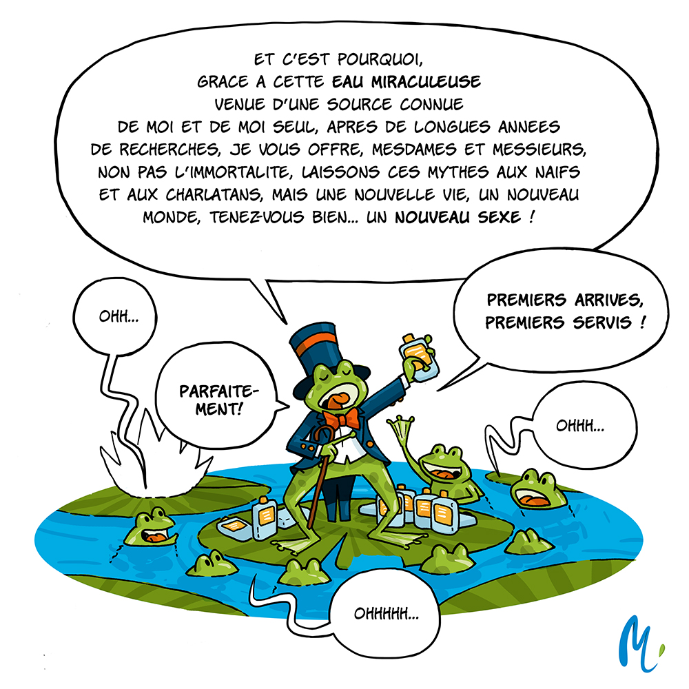 Le parasite des pommes de terre est