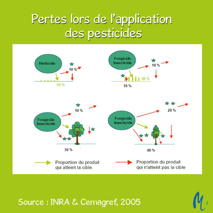 Éviter les herbicides racinaires dans les sols saturés en eau